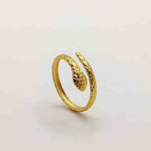 Anillo Serpiente